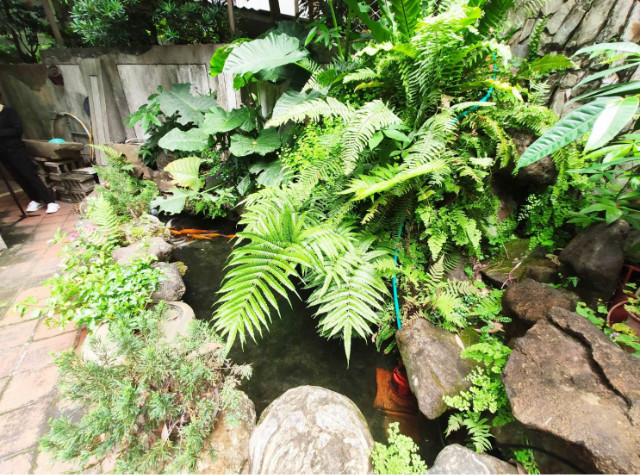 天母日式大庭園宅,台北市士林區天母西路