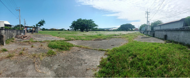 花蓮特定甲建農地