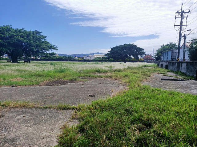 花蓮特定甲建農地